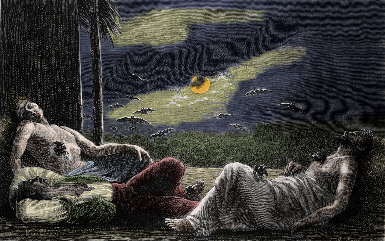 Vampyyrilepakko imee unissa olevien miesten verta täysikuuiltaisin. Kaiverrus 1800-luvulta tekijältä Unknown artist