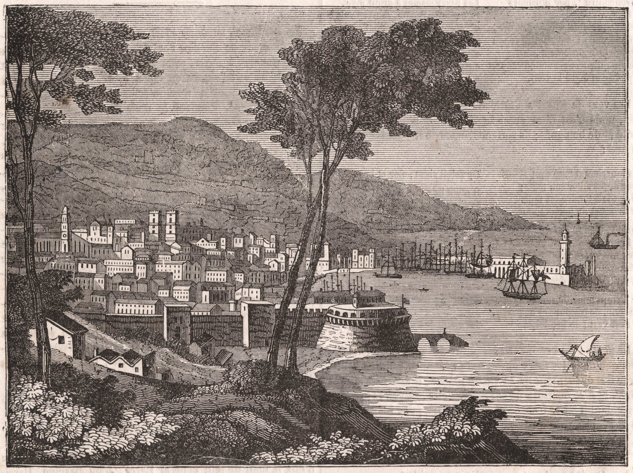 Näkymä metsäiseltä kukkulalta Barcelonan kaupungissa, Kataloniassa, Espanjassa tekijältä Unknown
