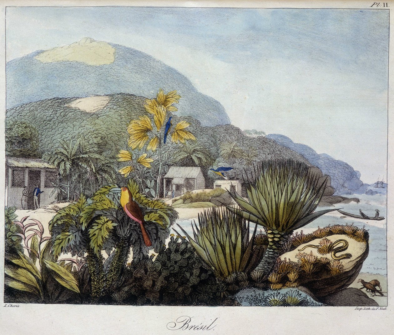 Näkymä Brasiliaan "" Näkymät ja maisemat päiväntasauksen alueilla, kerätty matkalla maailman ympäri", sd. 1800-luvulla tekijältä Unknown artist