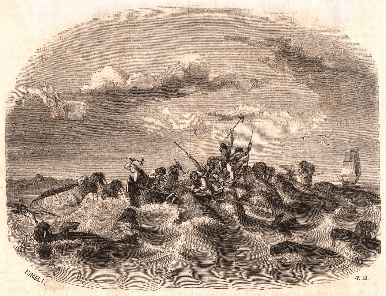 Näkymä ryhmästä englantilaisia merimiehiä, jotka jahtaavat mursulaumaa vuonna 1818 Huippuvuorten rannikolla tekijältä Unknown