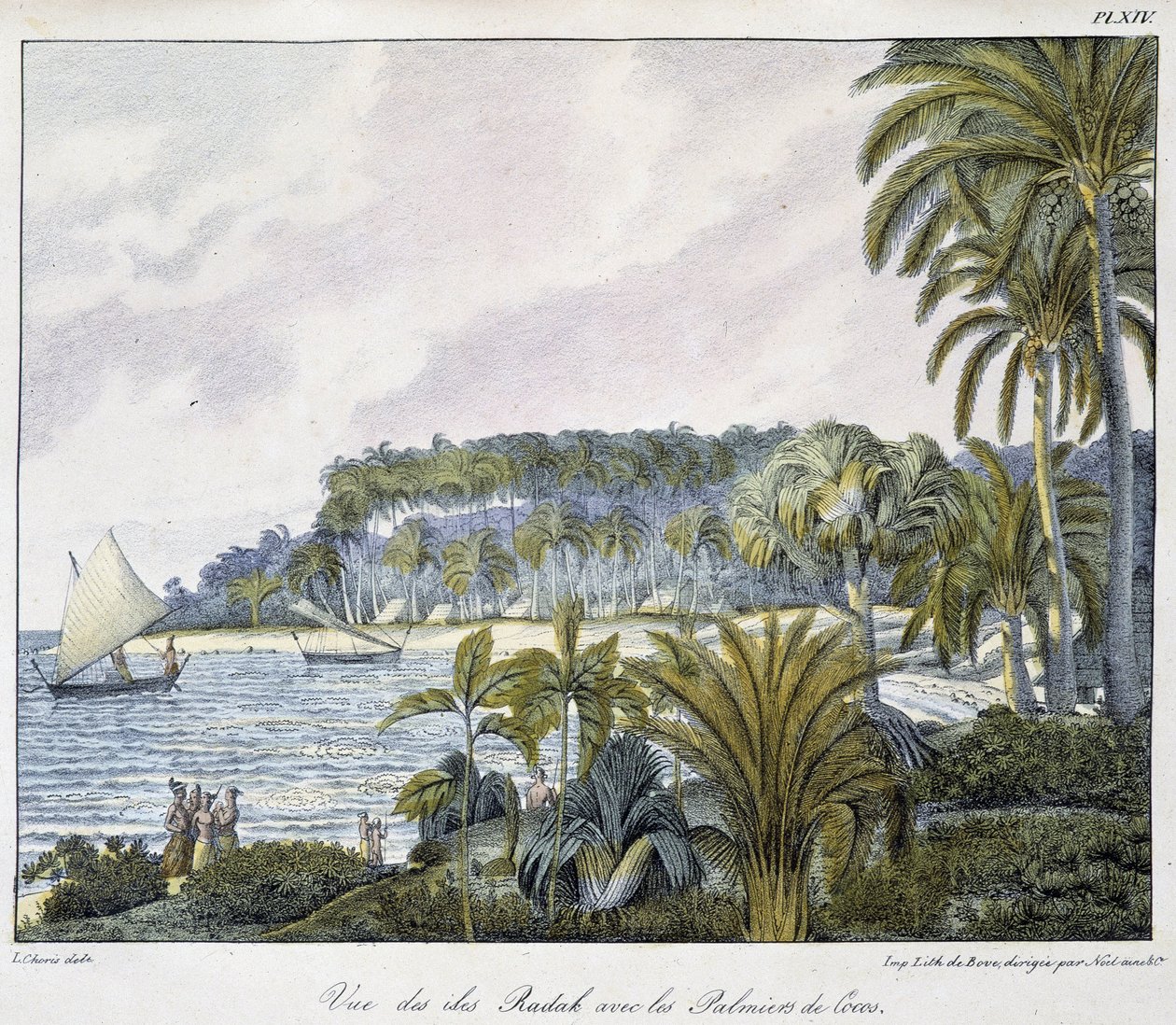 Näkymä Marshallinsaarten saariston Radak-saarille. tekijältä Unknown artist