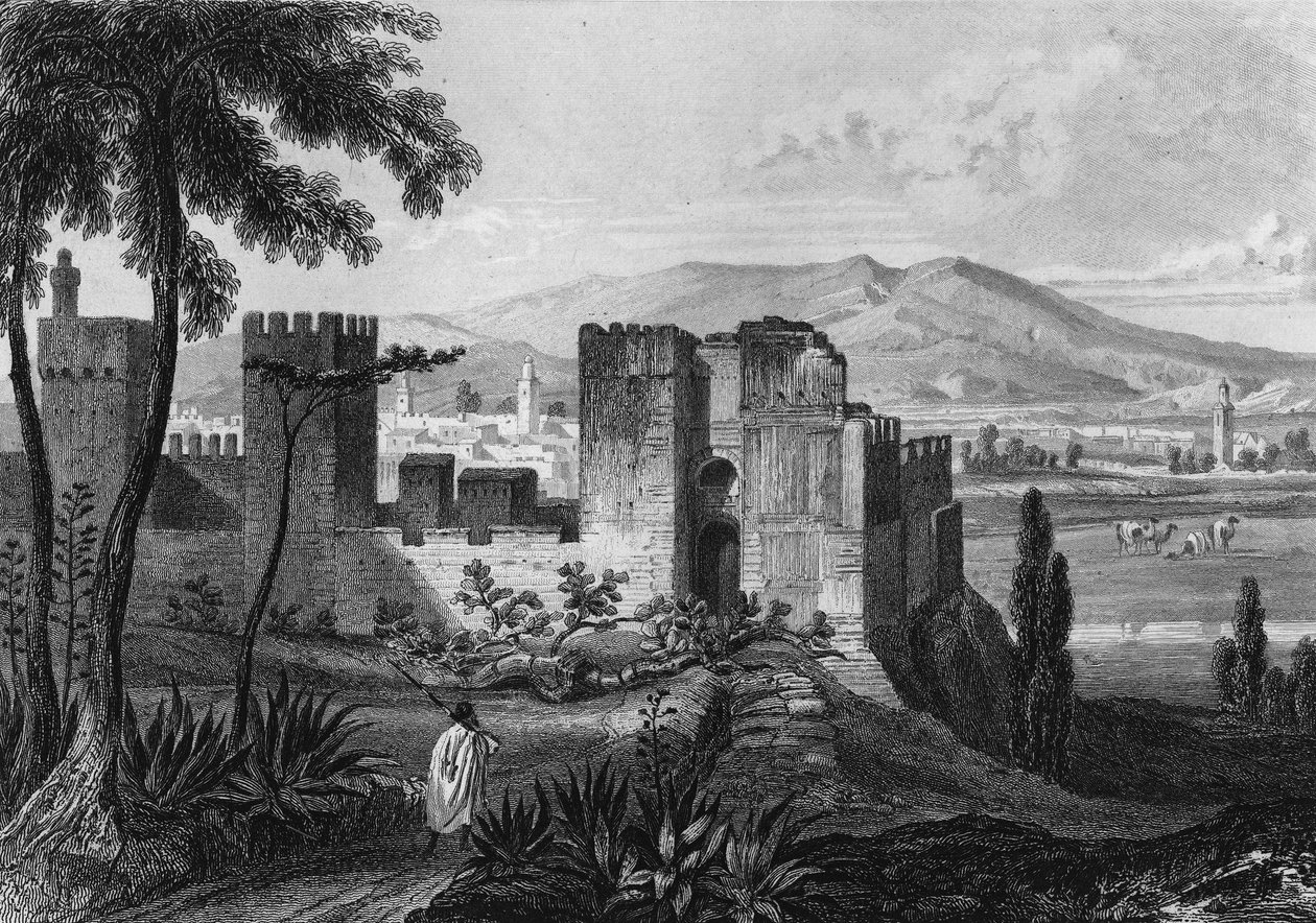 Näkymä Tlemsenin (tai Tilimsenin) aitauksesta Algeriassa 1800-luvulla, Leon Galibertin "Algerie ancienne et moderne" tekijältä Unknown artist