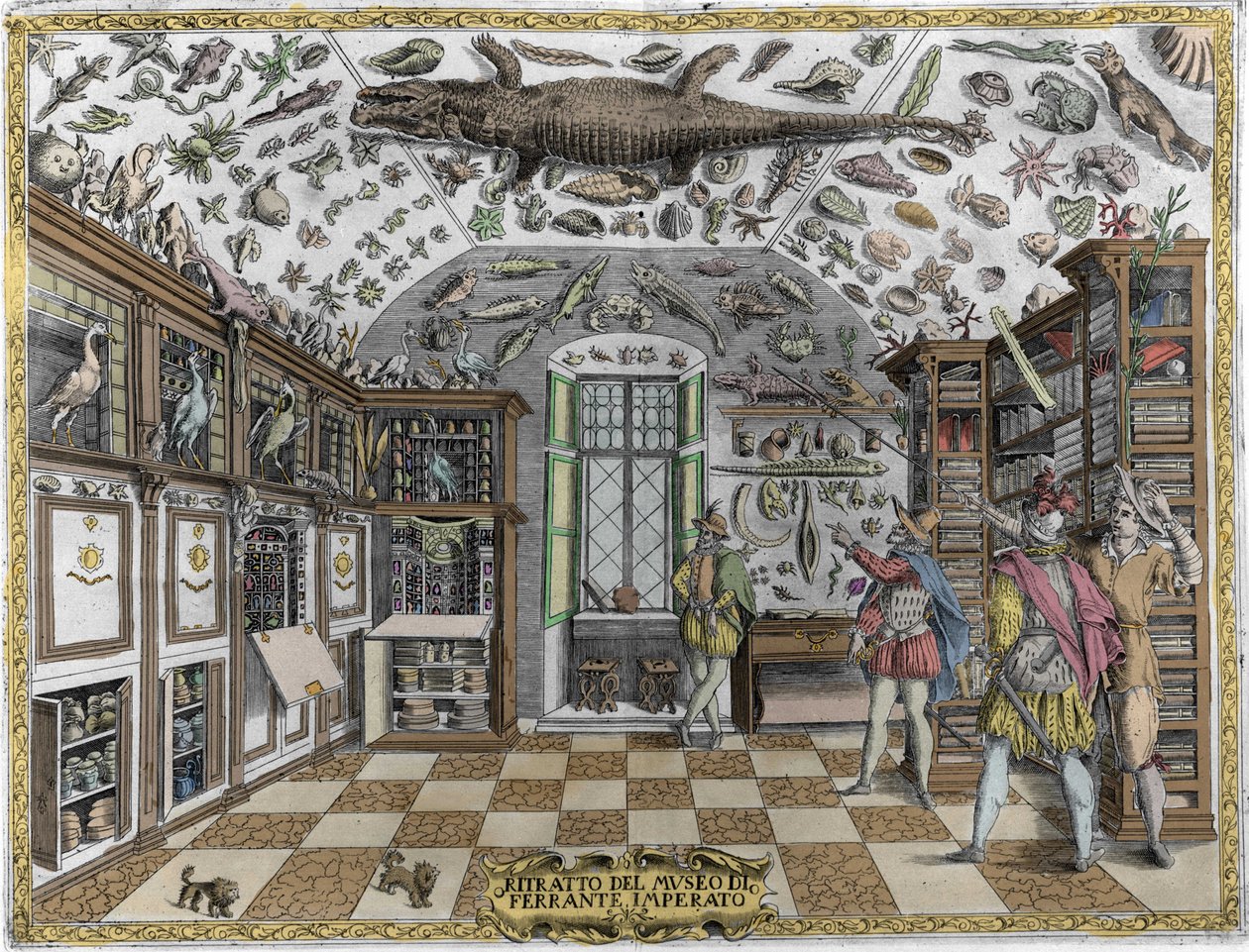 Näkymä farmaseutti Ferrante Imperaton (1550 - 1631) kurioosien museosta (kabinetista) (ensyklopedinen museo). Kaiverrus vuodelta 1678. Napolilaisen apteekin Ferrante Imperaton museo. tekijältä Unknown artist