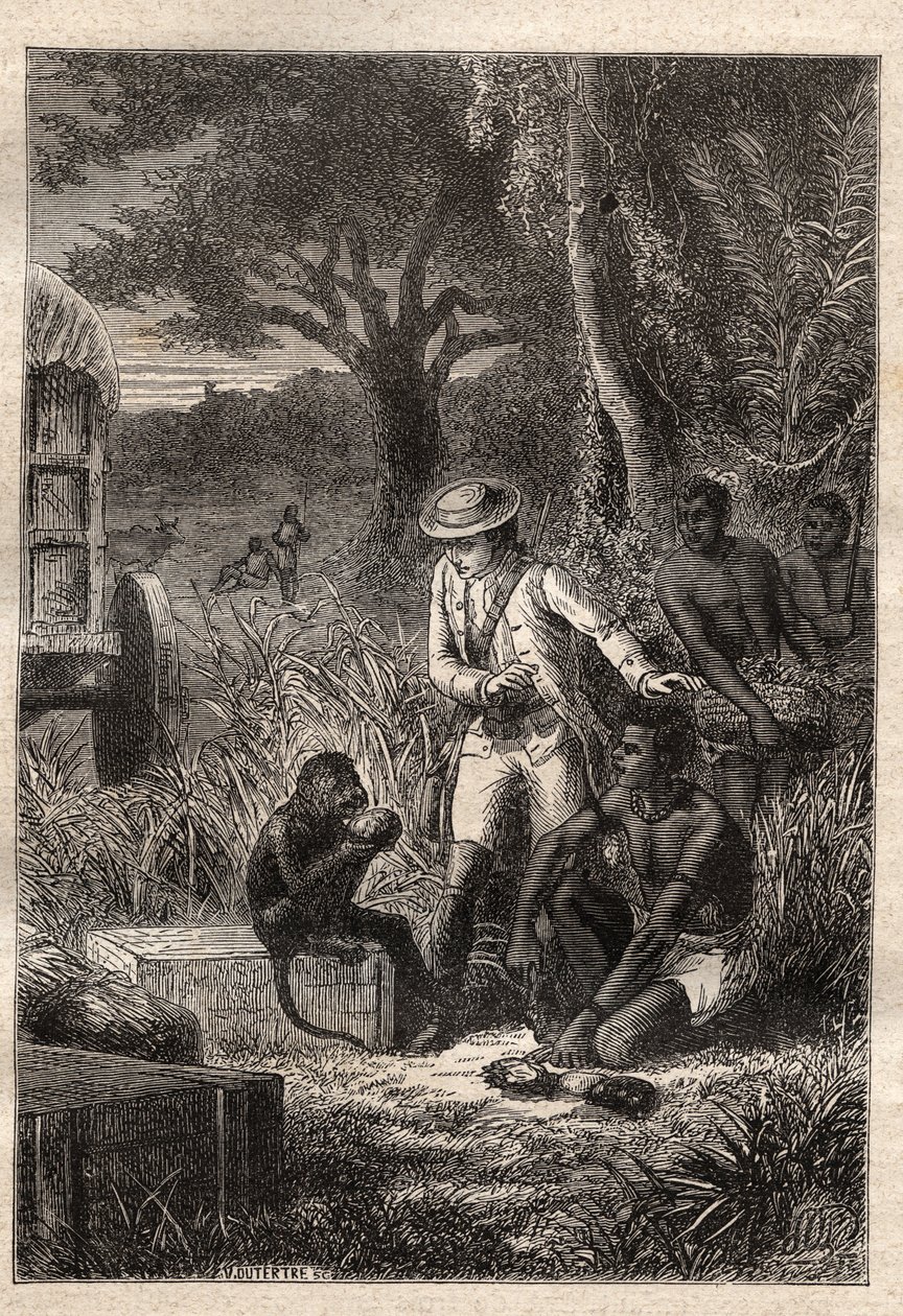 Voyage dans la Caffrerie (Etelä-Afrikka) (1781), Francois Levaillant (Le Vaillant) (1753-1824): Levaillant ja hänen apinansa maistaja Maitre Kees, joka maistelee hedelmiä ja juuria varmistaakseen, että ne ovat syötäviä - kuva otettu "" Les Gra tekijältä Unknown artist