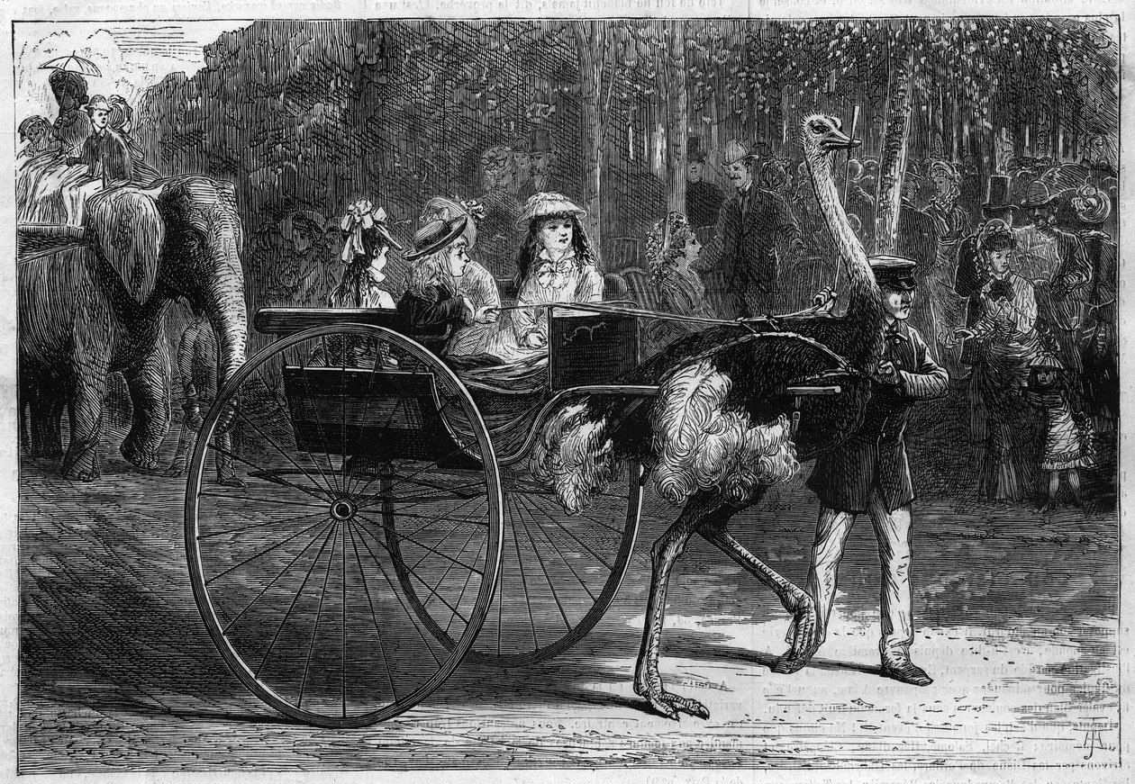 Kävele elefantin ja lasten selässä itävaltalaisten vetämässä cariolassa. Bois de Boulognen sopeutumispuutarha Pariisissa tekijältä Unknown artist