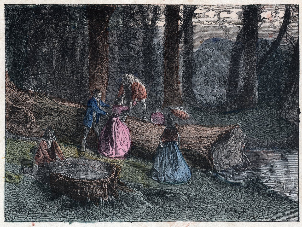 Kävelejät yrittävät laskea kuolleen tammen ikää tutkimalla puun kantaa. Kaiverrus 1800-luvun lopulla. tekijältä Unknown artist