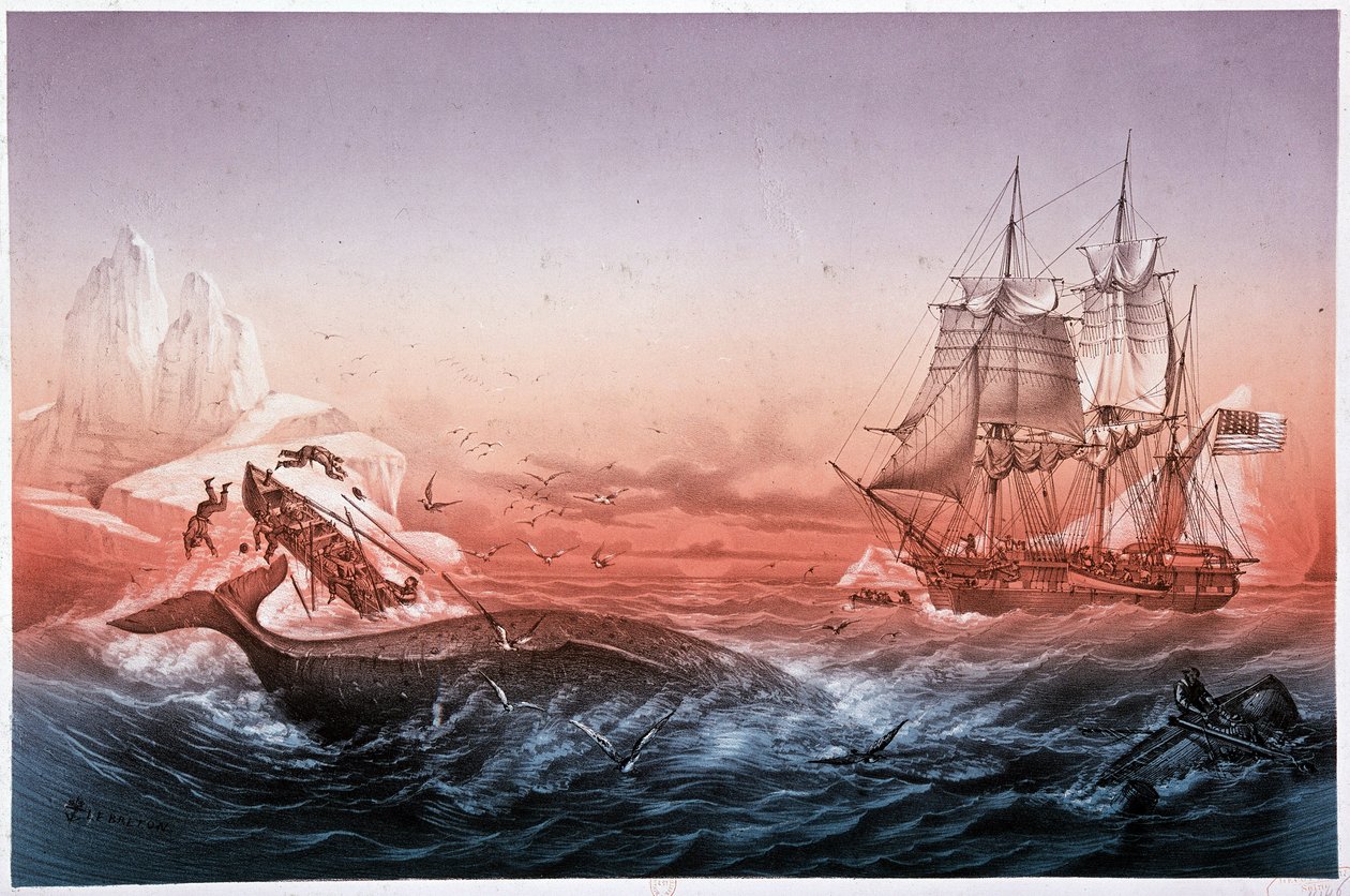 Valaanpyyntialus ei onnistunut pelastamaan kaatuneita valasveneitään tekijältä Unknown artist
