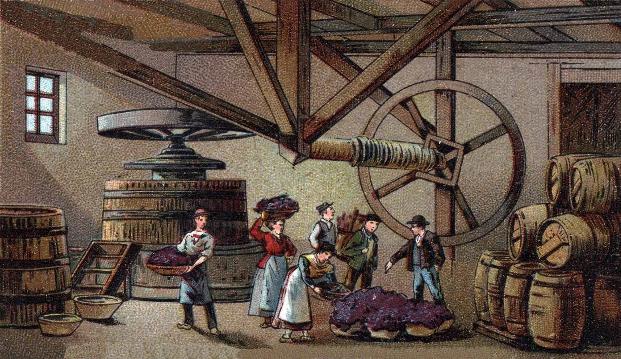Viinintuotanto: Beaunen (clos vougeot) -hoitolaitoksen viinipuristin. 1800-luvun lopun kromolitografia tekijältä Unknown artist