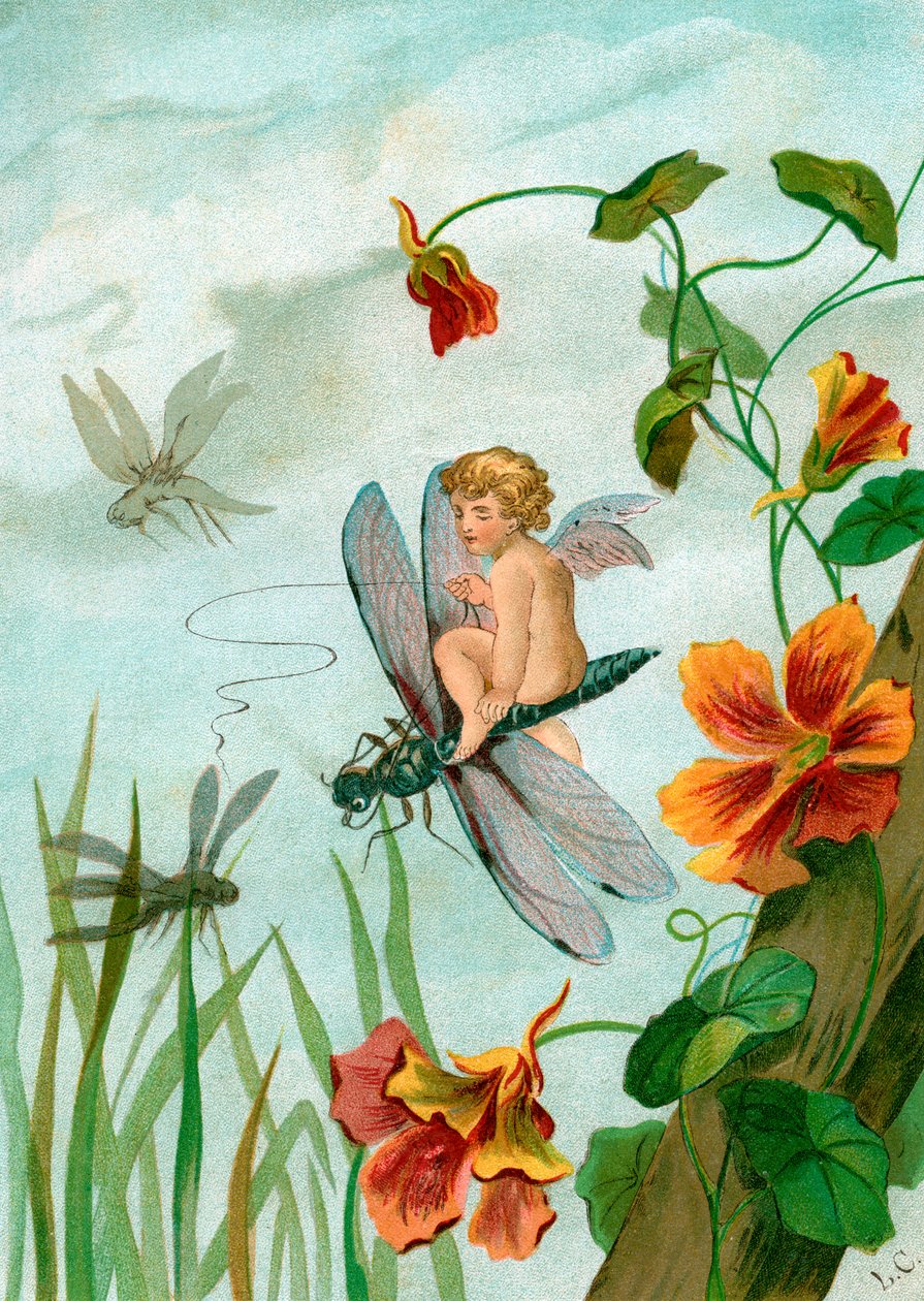Siivekäs keiju ratsastaa sudenkorennolla lähellä Nasturtium Flowersia tekijältä Unknown artist