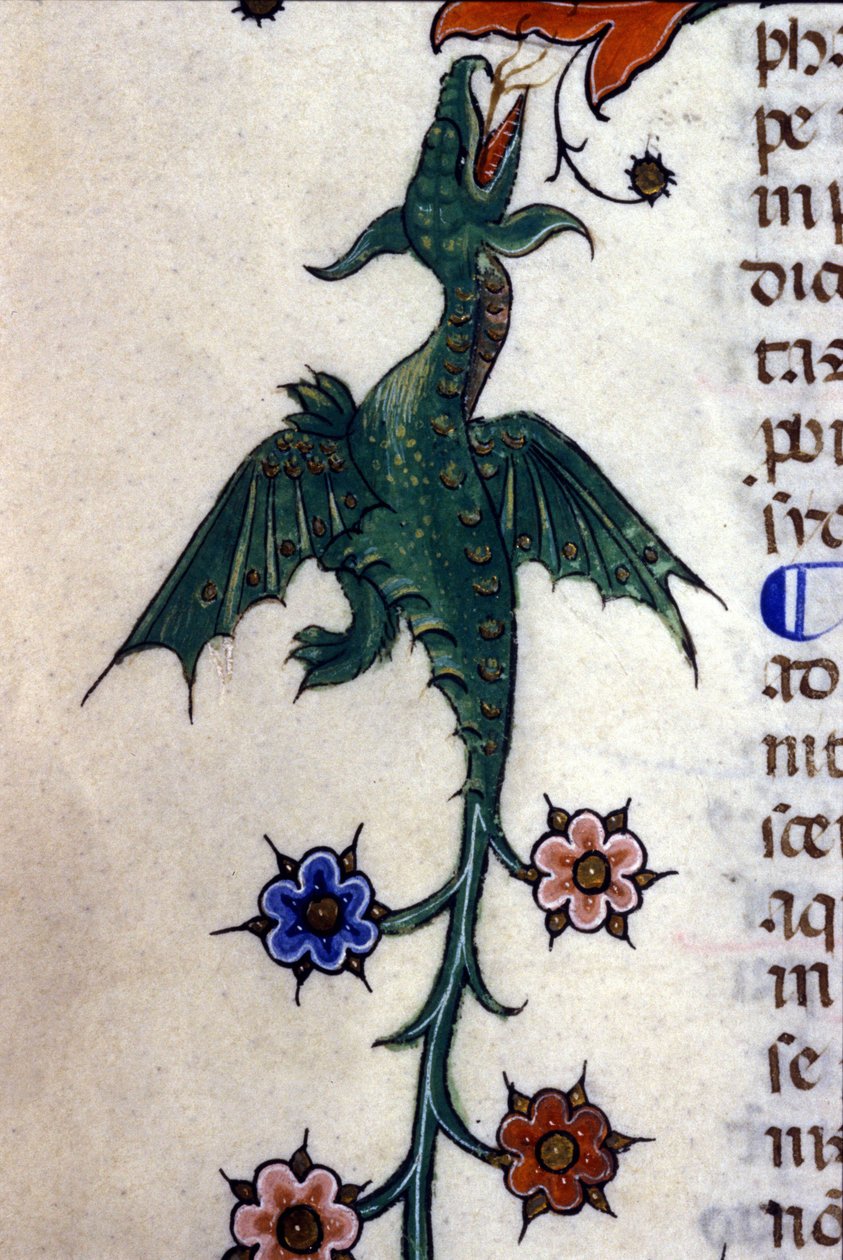 Siivekäs lohikäärme, Caspic, 1300-luvun käsikirjoituksessa Milanossa, Biblioteca Nazionale Braidense. tekijältä Unknown artist
