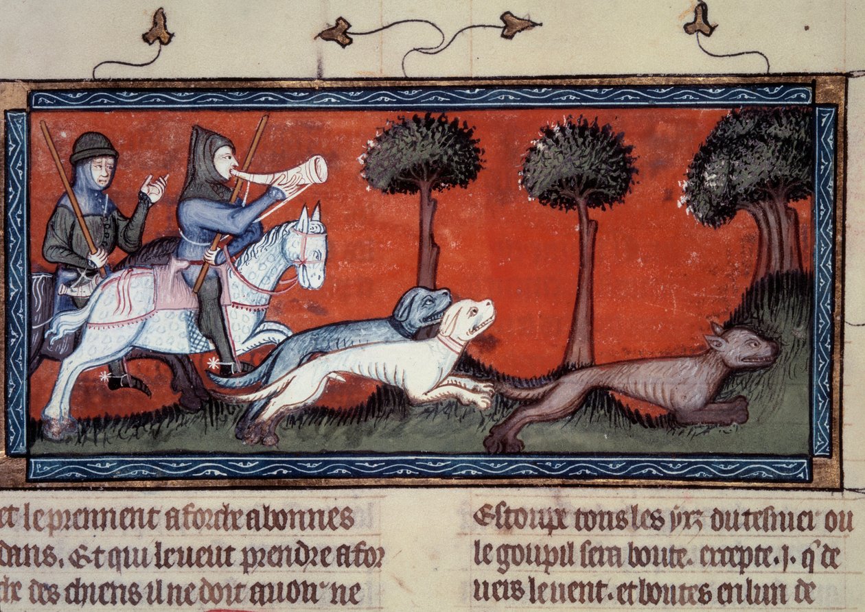 Wolf Hunt Miniatyyri käsikirjoituksesta fr. 1297 Henri de Ferrieresin "" kirja King Modus ja Queen Ratio" (1300-luku) tekijältä Unknown artist