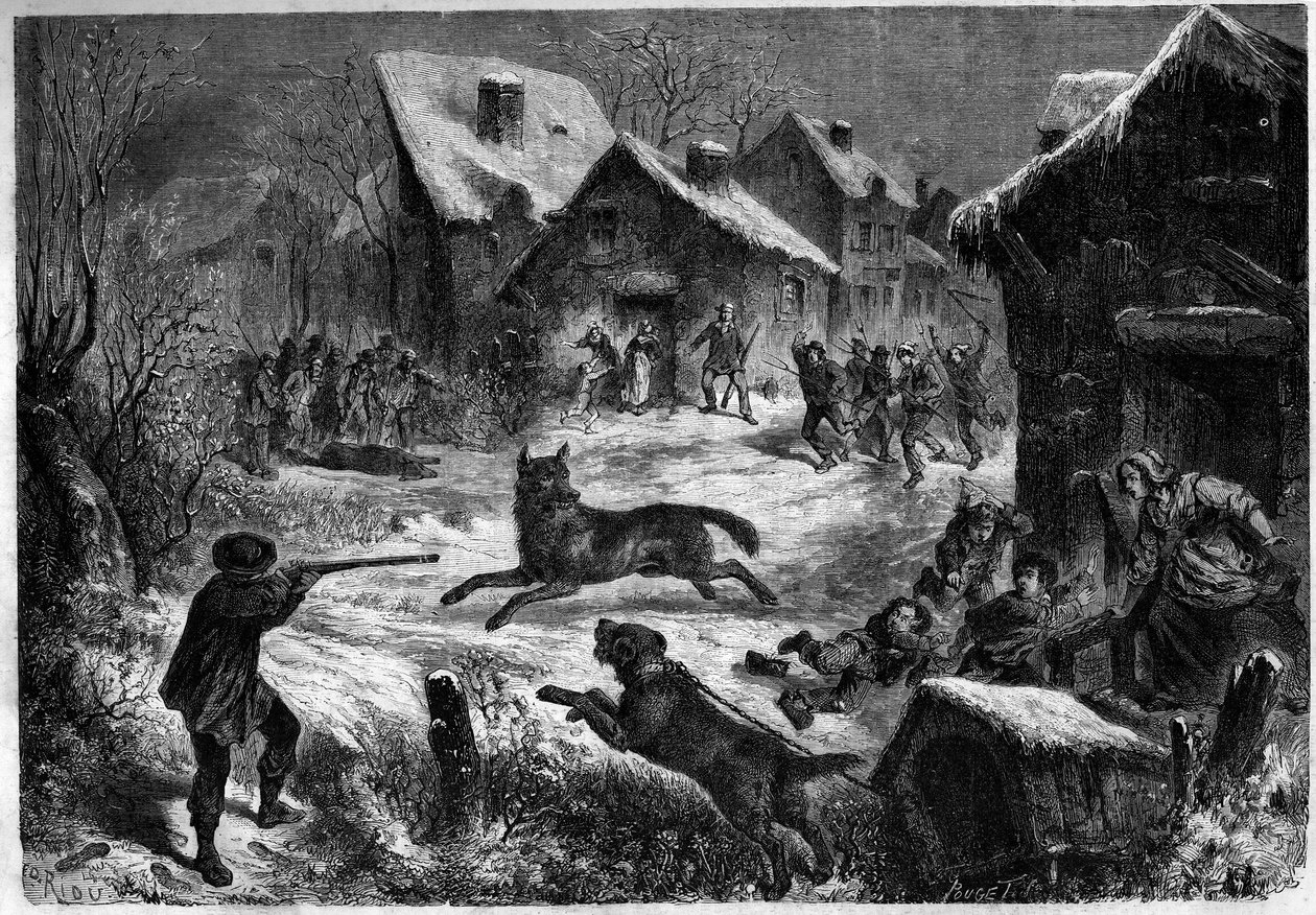 Susimetsästys Saliersin kylässä Bouches du Rhonessa (13), 31. joulukuuta 1860. Kaiverrus julkaisussa "" Le Monde Illustré" n¡196, 12. tammikuuta 1861. tekijältä Unknown artist