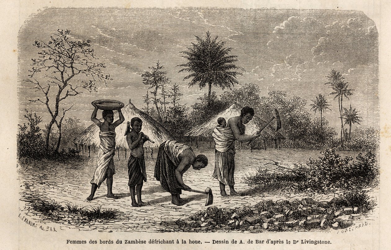 Naiset Zambezen rannoilta puhdistamassa kuokkaa ja tutustuttamassa lapsia maataloustöihin. Kaiverrus, joka havainnollistaa tohtori Livingstonen ensimmäisiä matkoja Etelä-Afrikkaan vuosina 1840-1856, "Le tour du monde, nouveau journal des voyages" -julkaisu tekijältä Unknown artist
