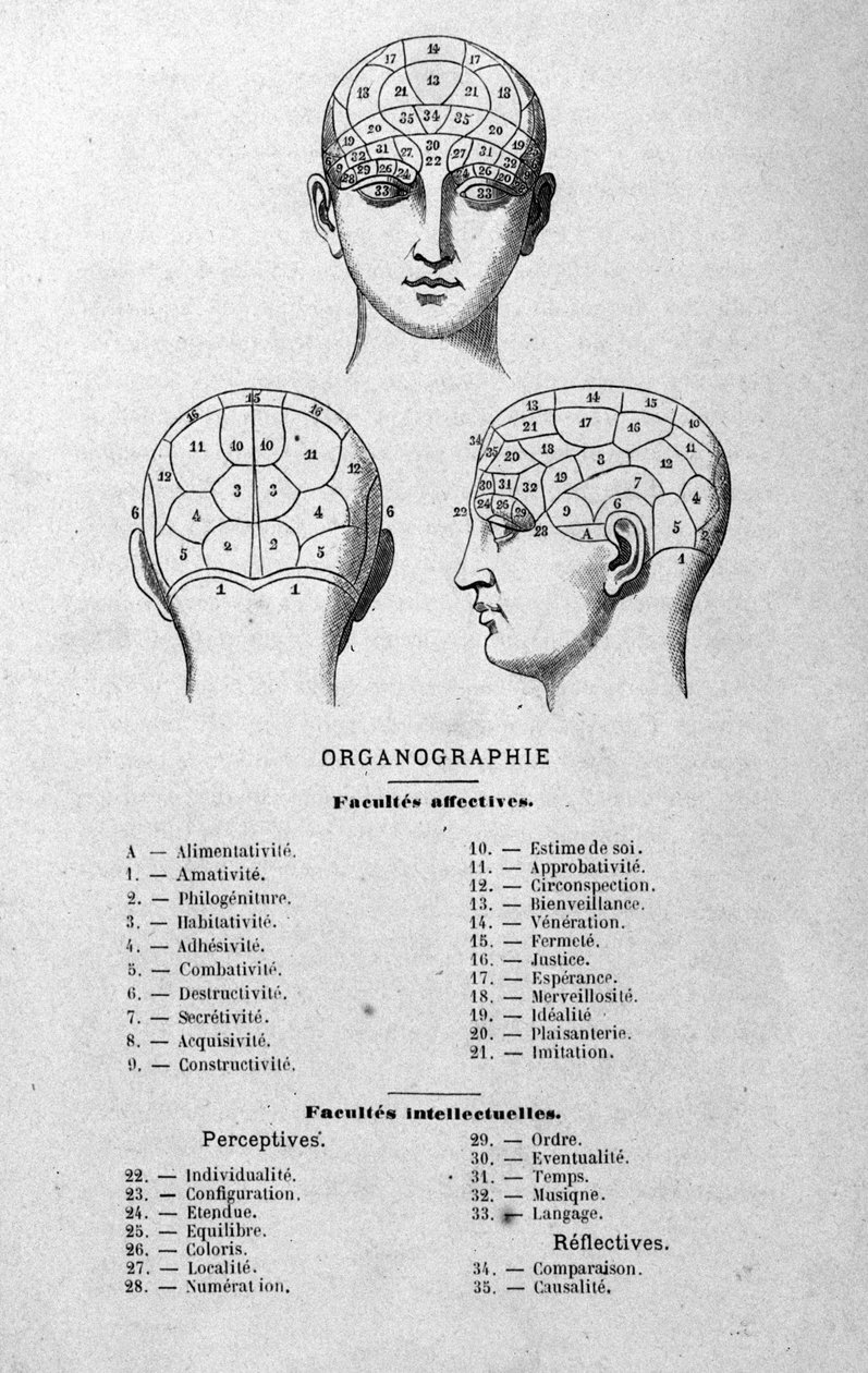 kuvitus Charles Rouvinin kirjasta 1873 Organographie La Tête humaine, kuvitettuja frenologiaa ja fysionomiaa koskevia tutkimuksia sovellettu kuuluisiin hahmoihin Paris 1873 tekijältä Unknown artist