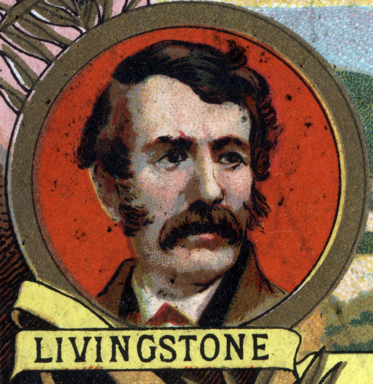 muotokuva David Livingstonesta (1813-1873), skotlantilainen lähetyssaarnaaja ja tutkimusmatkailija. 1800-luvun lopun kromolitografia. tekijältä Unknown artist