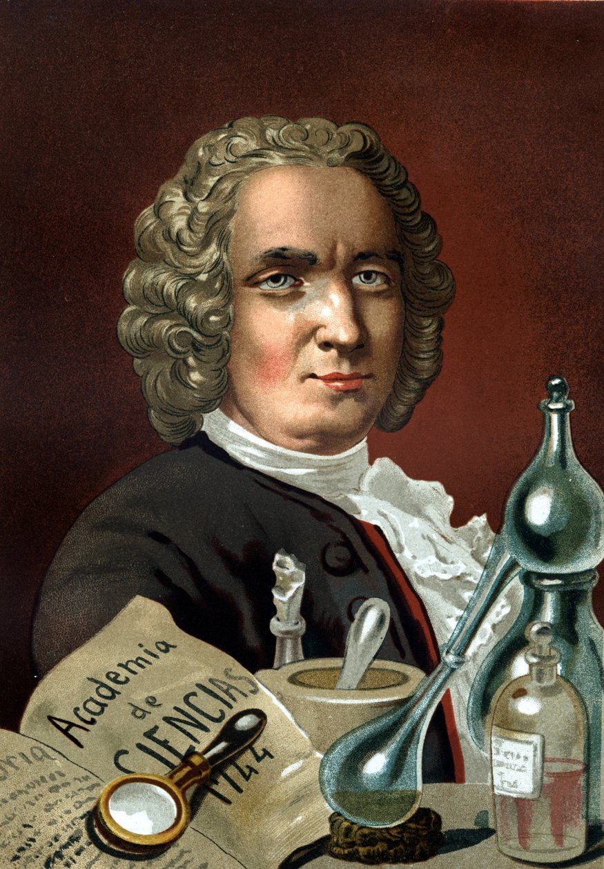 Guillaume Francois Rouellen muotokuva. Ranskalainen kemisti (Mathieu, lähellä Caen tekijältä Unknown artist