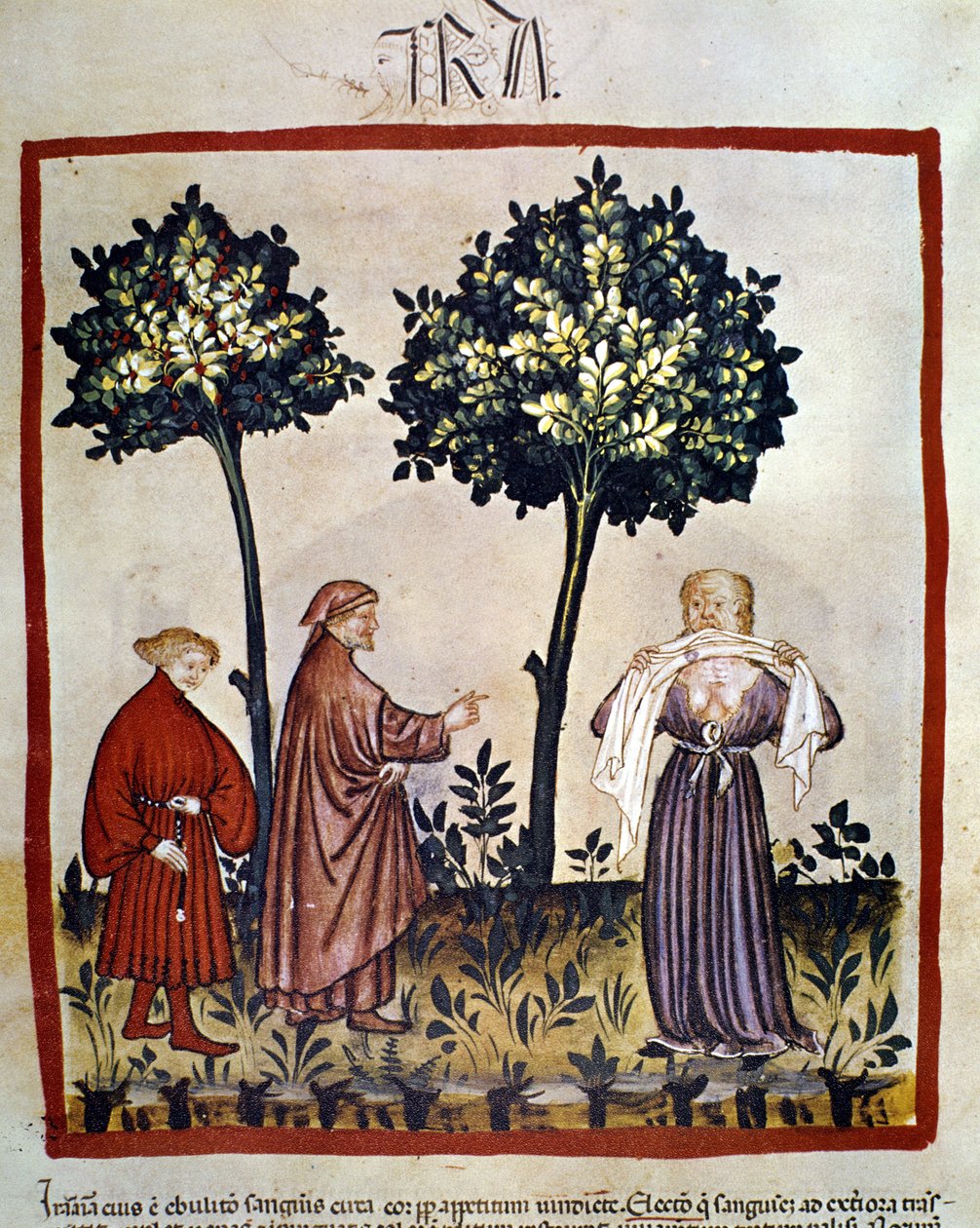 rabies tai vihainen henkilö puristaa kudosta hampaidensa välistä. Valaistus 1300-luvulta "Tacuinum Sanitatis", Wien, Kansalliskirjasto. tekijältä Unknown artist