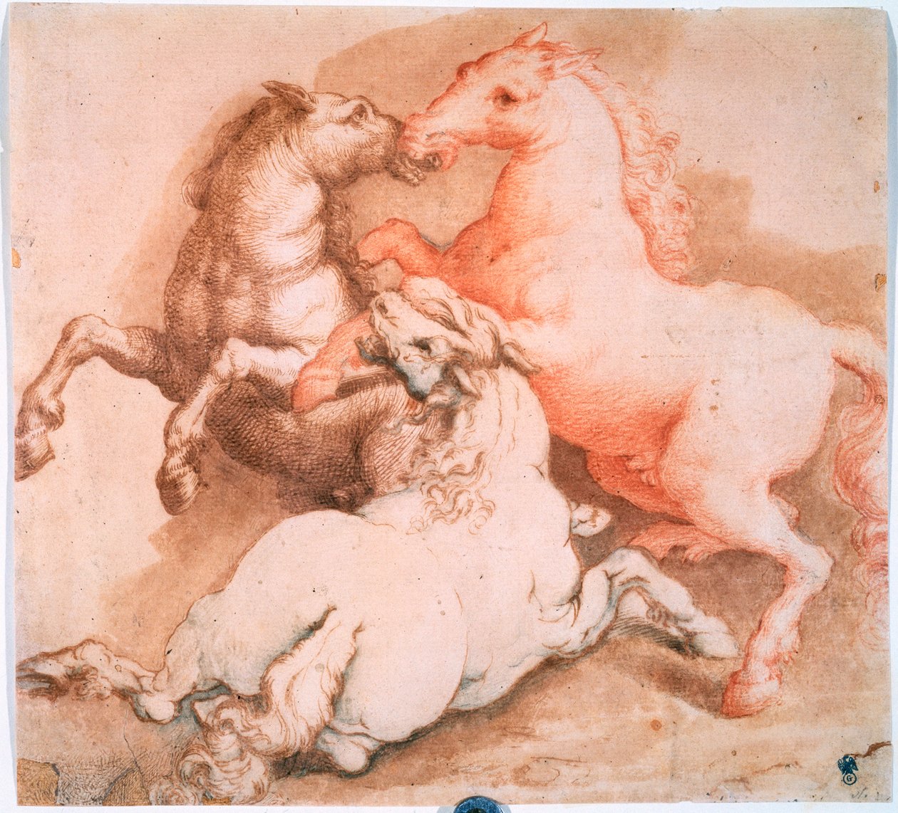 "Fighting Horses", c1550-1600 tekijältä Unknown Old Master