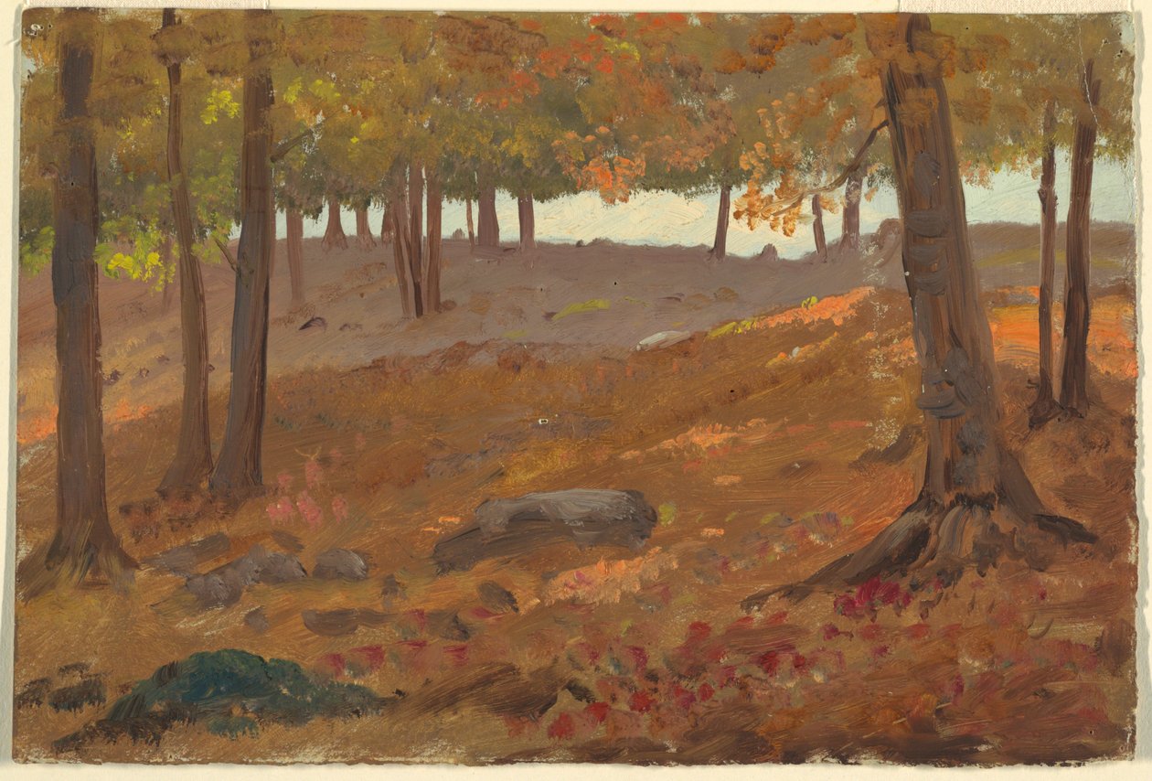 Piirros, Metsä syksyllä, 1870-80 tekijältä Unknown artistUnknown artist