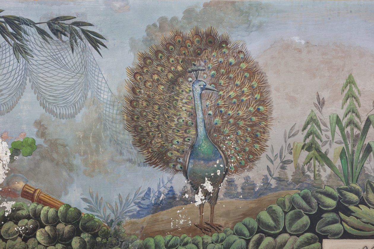 Peacock, yksityiskohta numerosta 3743687 (fresko) tekijältä Unknown artist