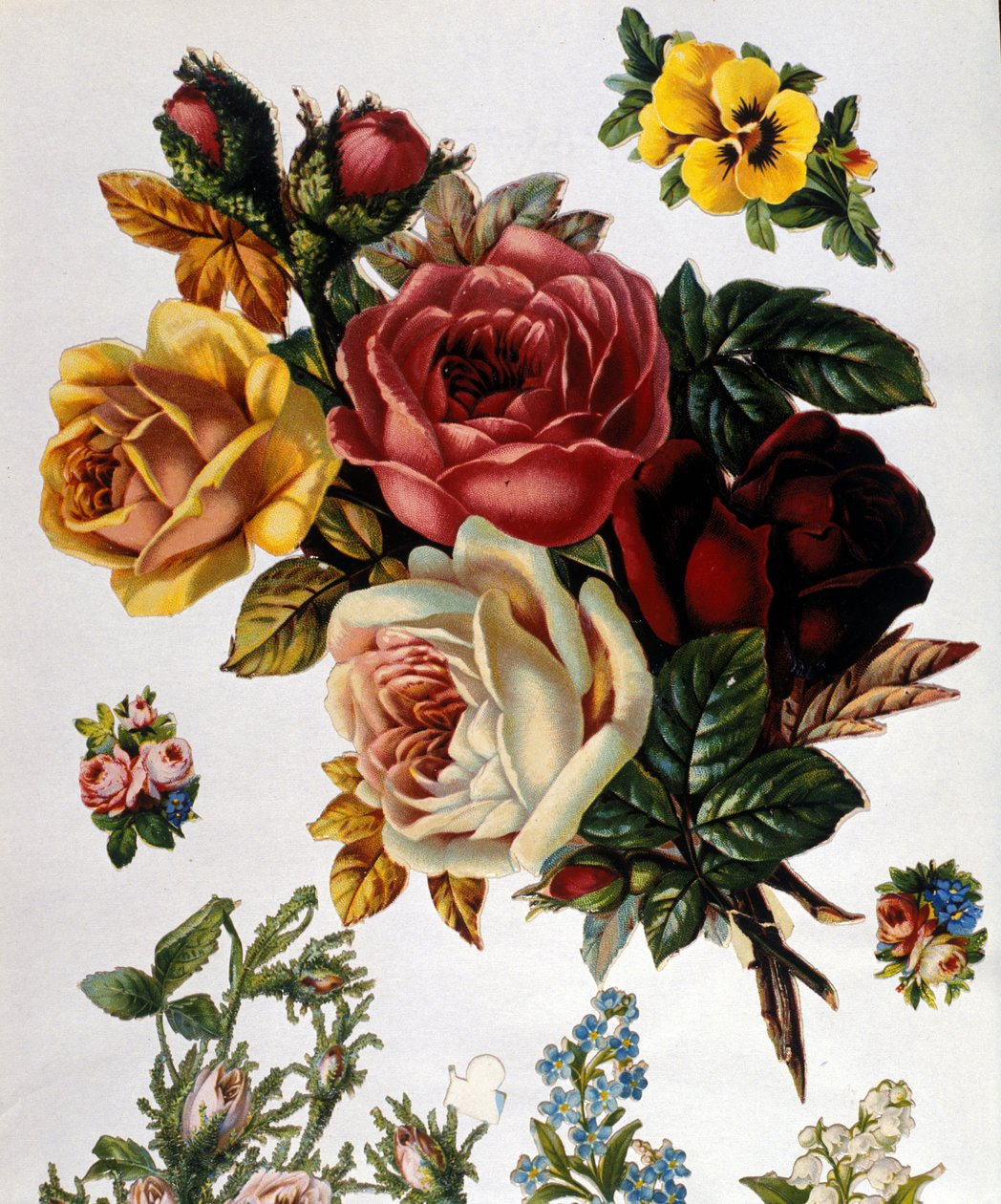 Kimppu ruusuja. 1800-luvun kromolitografia. tekijältä Unknown artist