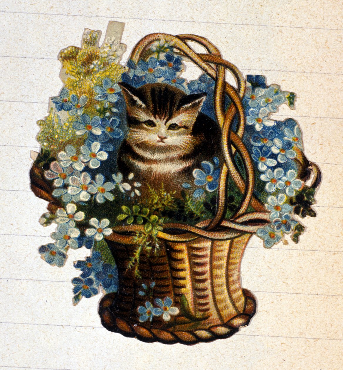 Kissa kukkakorissa. 1800-luvun kromolitografia. tekijältä Unknown artist