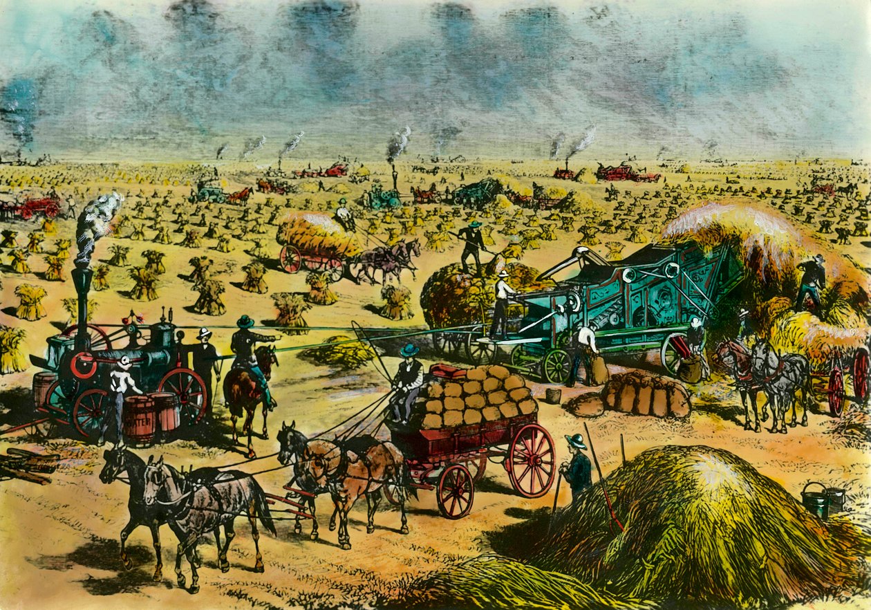 Maatalouden vallankumous: vehnän sadonkorjuu Dakotassa höyrykoneilla 1800-luvulla. Kaiverrus 1800-luvulta. Pariisi, koristetaide tekijältä Unknown artist
