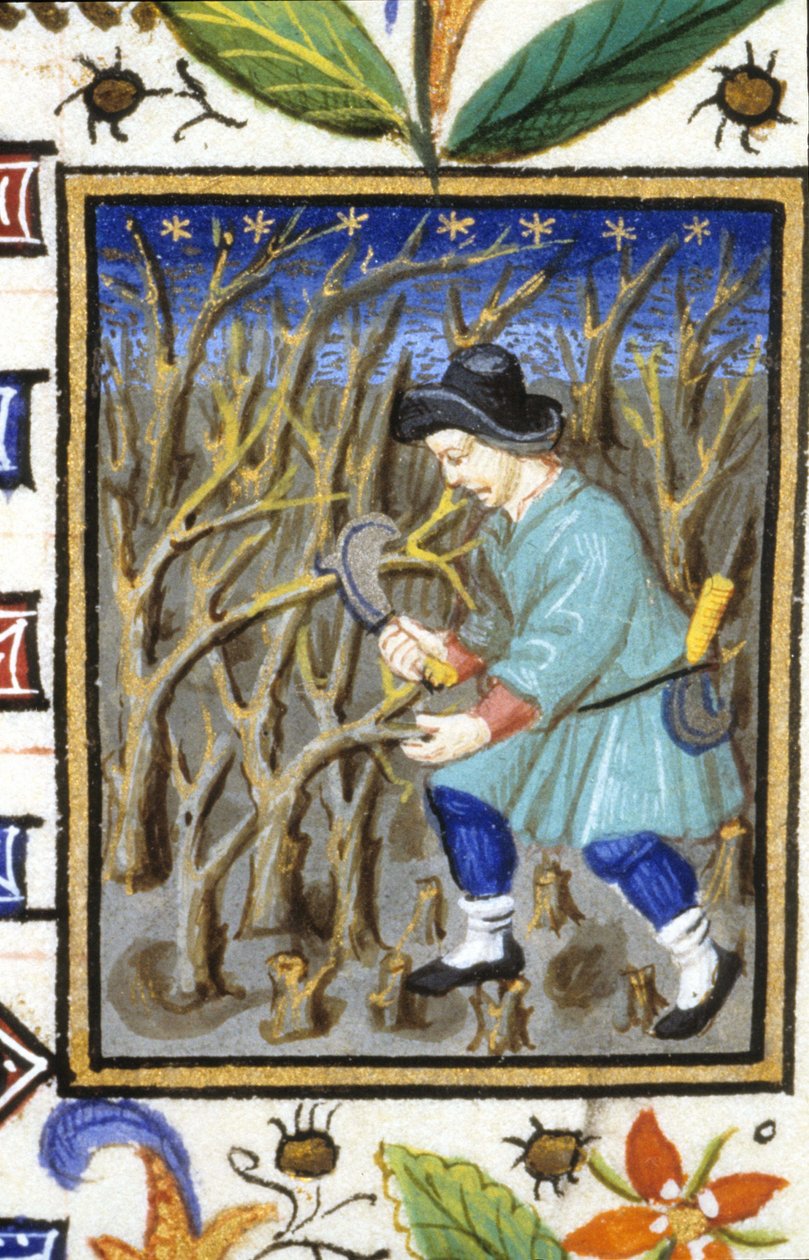 Maaliskuun allegorinen esitys. Mies leikkaa pensaita (piirustus). Miniatyyri 1300-luvun käsikirjoituksesta. tekijältä Unknown artist