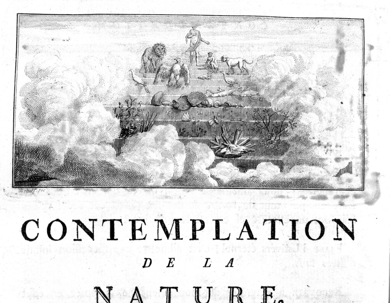 Allegorinen esitys ihmisen evoluution mineraaleista, kulkee kasvi- ja eläinlajien läpi Charles Bonnet, Contemplation of Nature, Neuchatel tekijältä Unknown artist