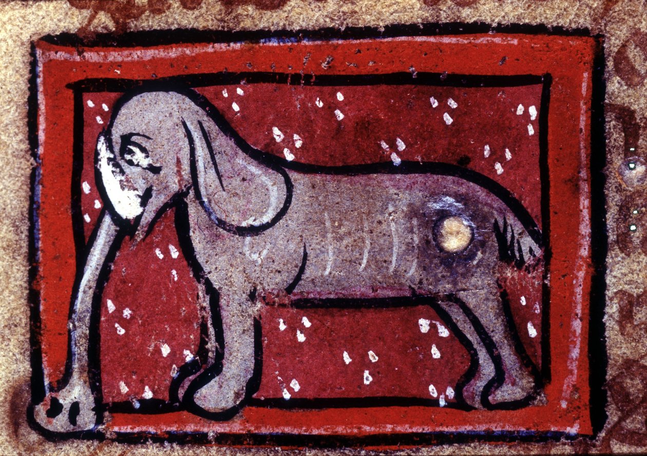 Elefantti - bestiaari 1300-luvulta. Milano, Biblioteca Trivulziana. tekijältä Unknown artist