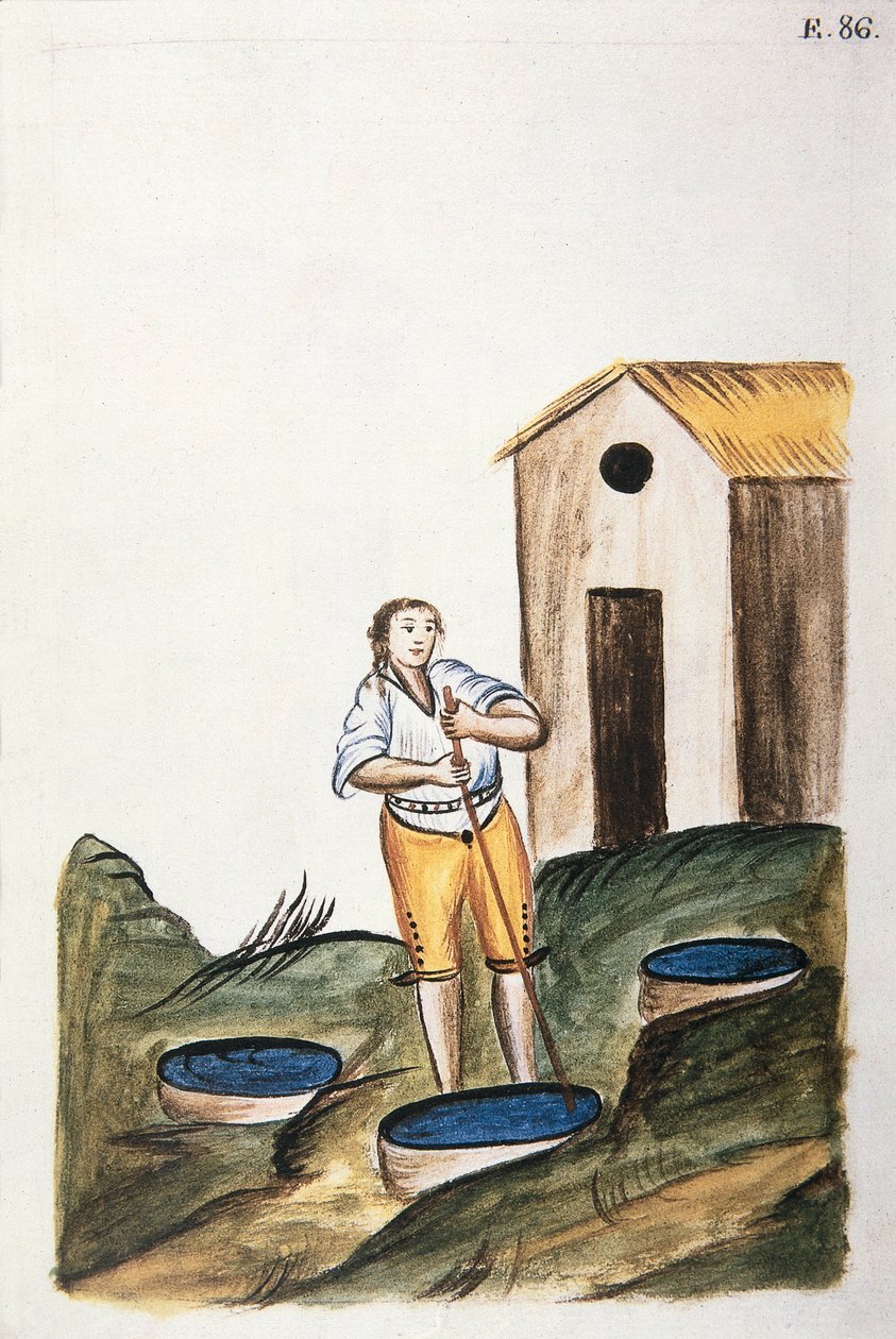 Sininen villan värjäykseen käytetty värialusta Baltazar Martinez Companionin ja Trujillon piispan (1782-1785) Bujandan kirjasta "Trujillo of Peru" tai "Codex Martinez Companion" tekijältä Unknown artist