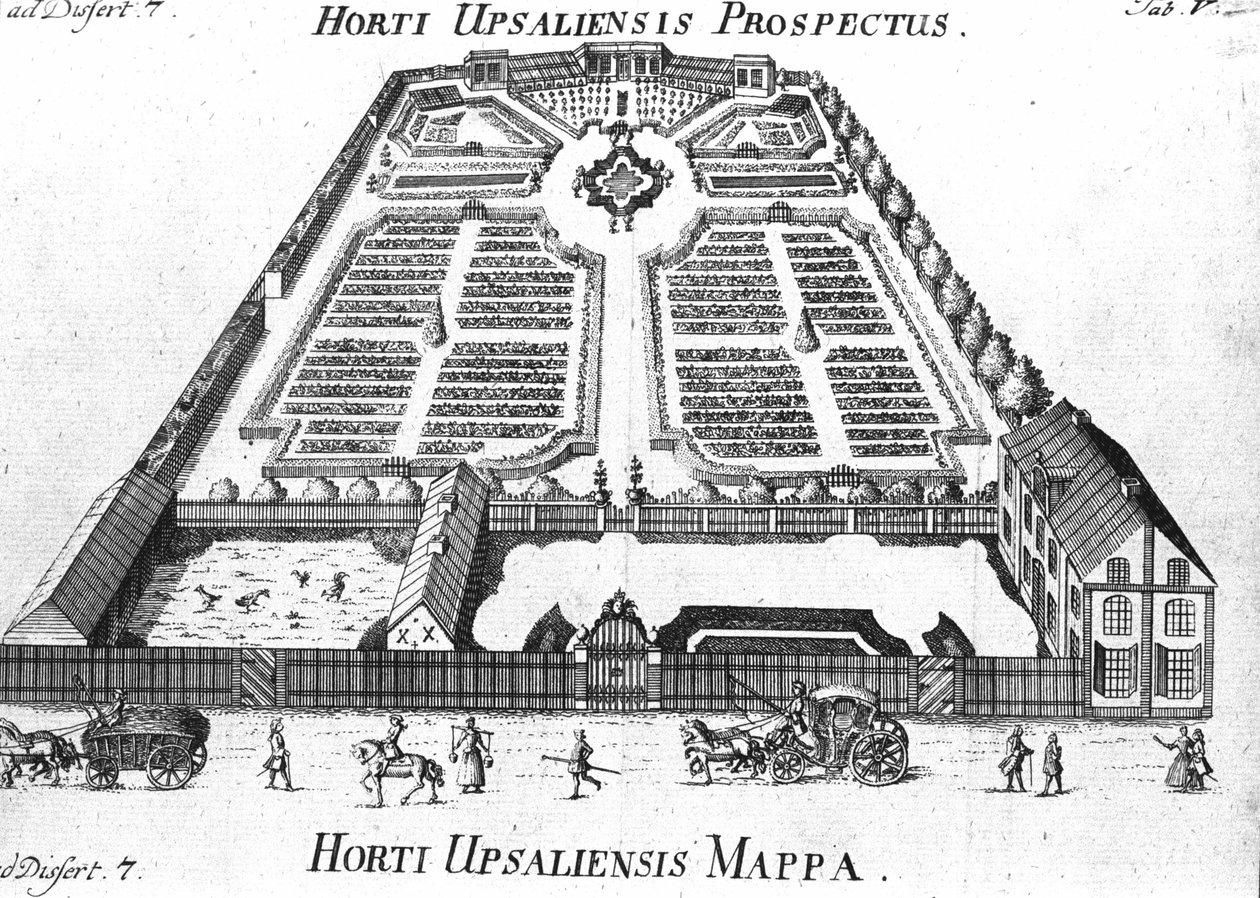 Kasvitieteellinen puutarha - HORTI UPSALIENSIS tulevaisuus ja suunnitelma. tekijältä Unknown artist