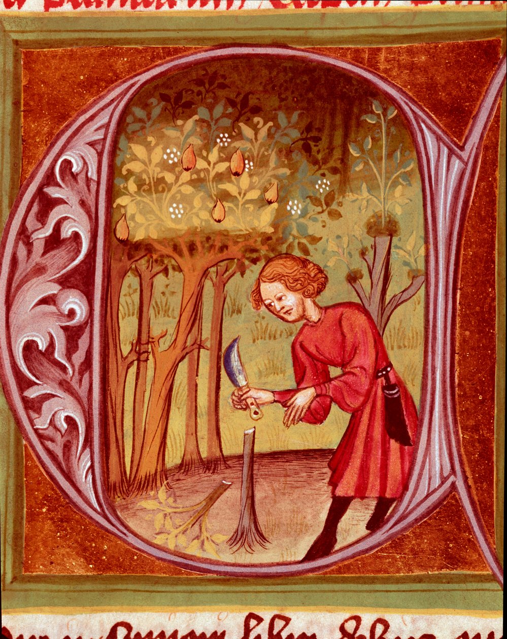 Kasvitieteellinen: puutarhuri, joka harjoittelee elinsiirtoa. Pietro de Crescenzin (Crescens Stone) (1233-1320) Pietro de Crescenzin (1233-1320) 1300-luvun Praha, Kansalliskirjaston pienoismalli "Rustikaaninen eli kirja maasta ja maaseutuvoitoista" (Rerum  tekijältä Unknown artist