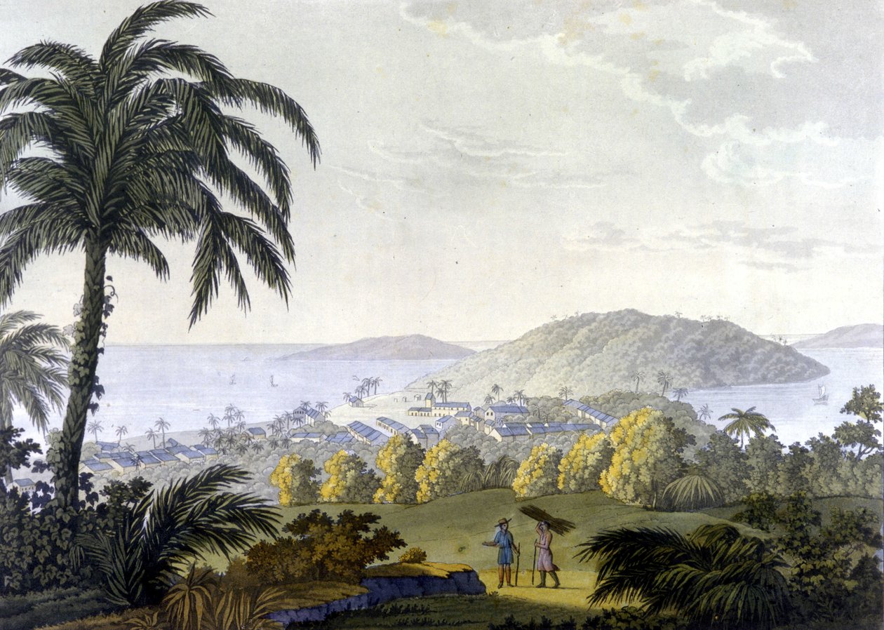 Brasilia, näkymä Ilheuksen kaupunkiin Bahian osavaltiossa tekijältä Unknown artist