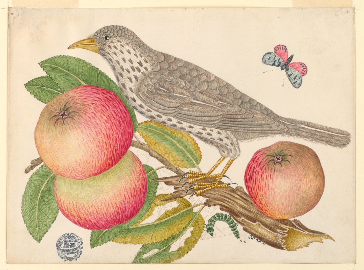 Brown Bird on Apple Branch, toukka tekijältä Unknown artist