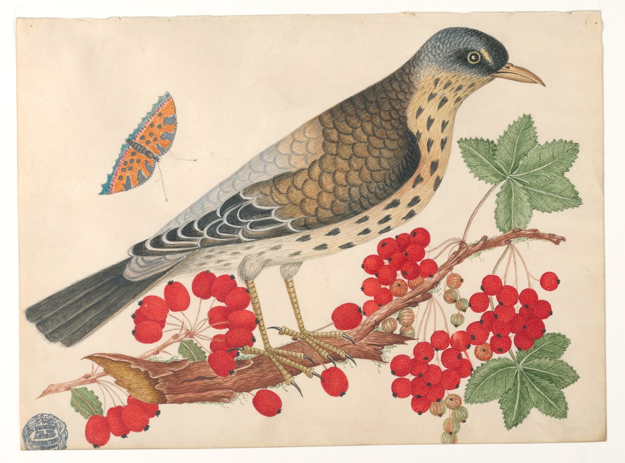 Ruskea lintu oksalla kakien ja perhosen kanssa tekijältä Unknown artist