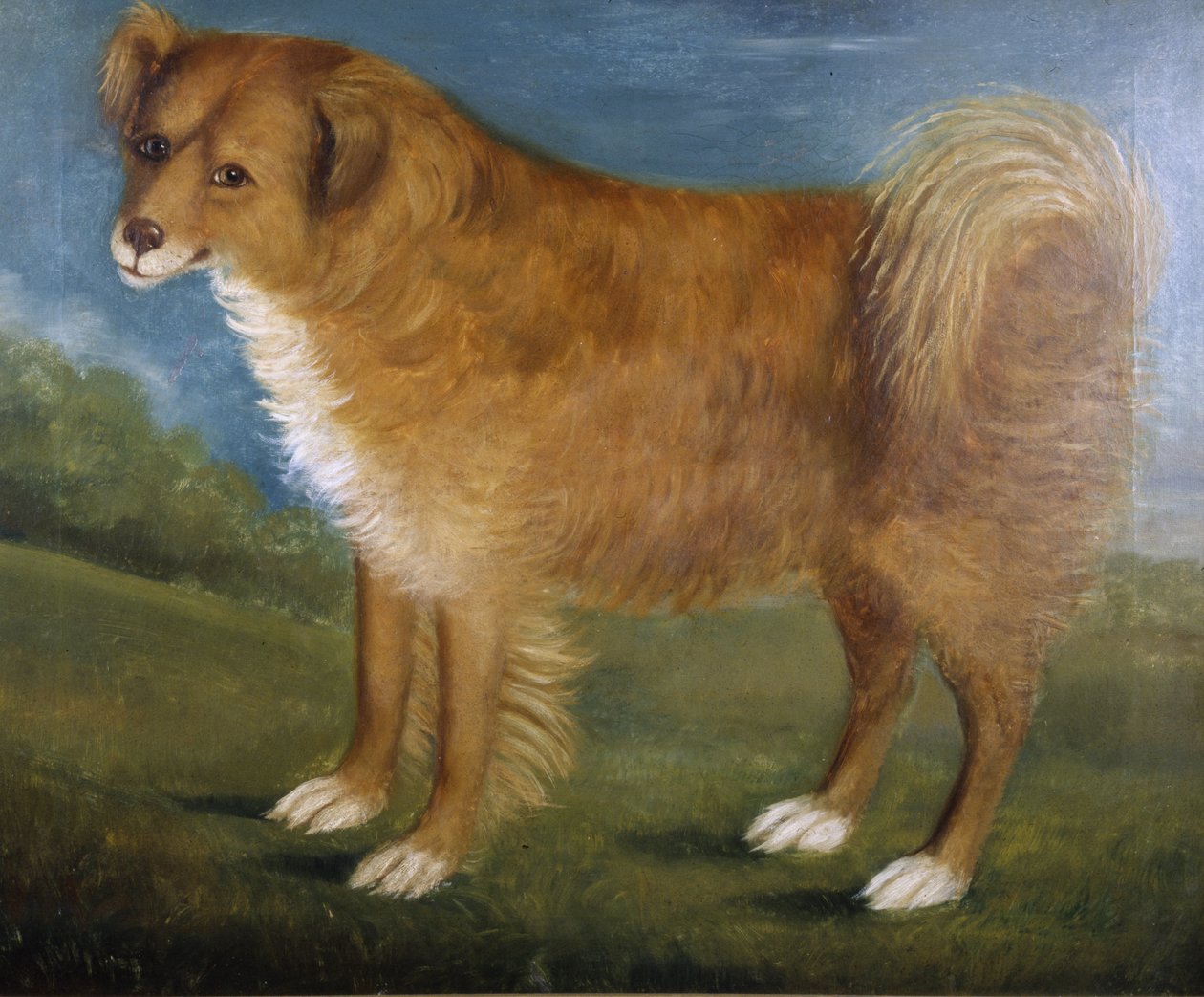 Ruskea koira maisemassa, n. 1850 (öljy kankaalle) tekijältä Unknown artist