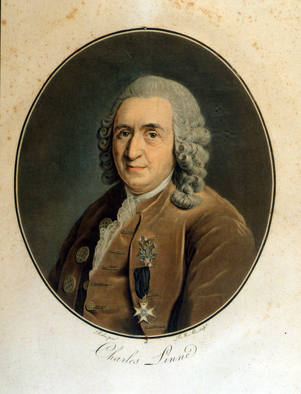Carl Von Linné ruotsalainen luonnontieteilijä ja kirjailija (1707 - 1778) tekijältä Unknown artist