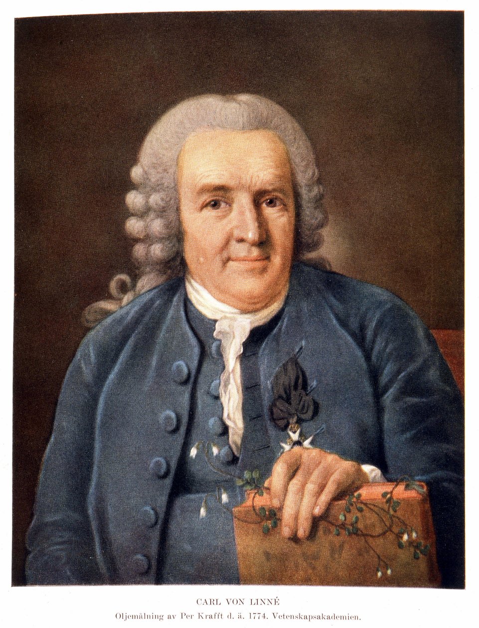 Carl Von Linné Ruotsalainen luonnontieteilijä ja kirjailija tekijältä Unknown artist