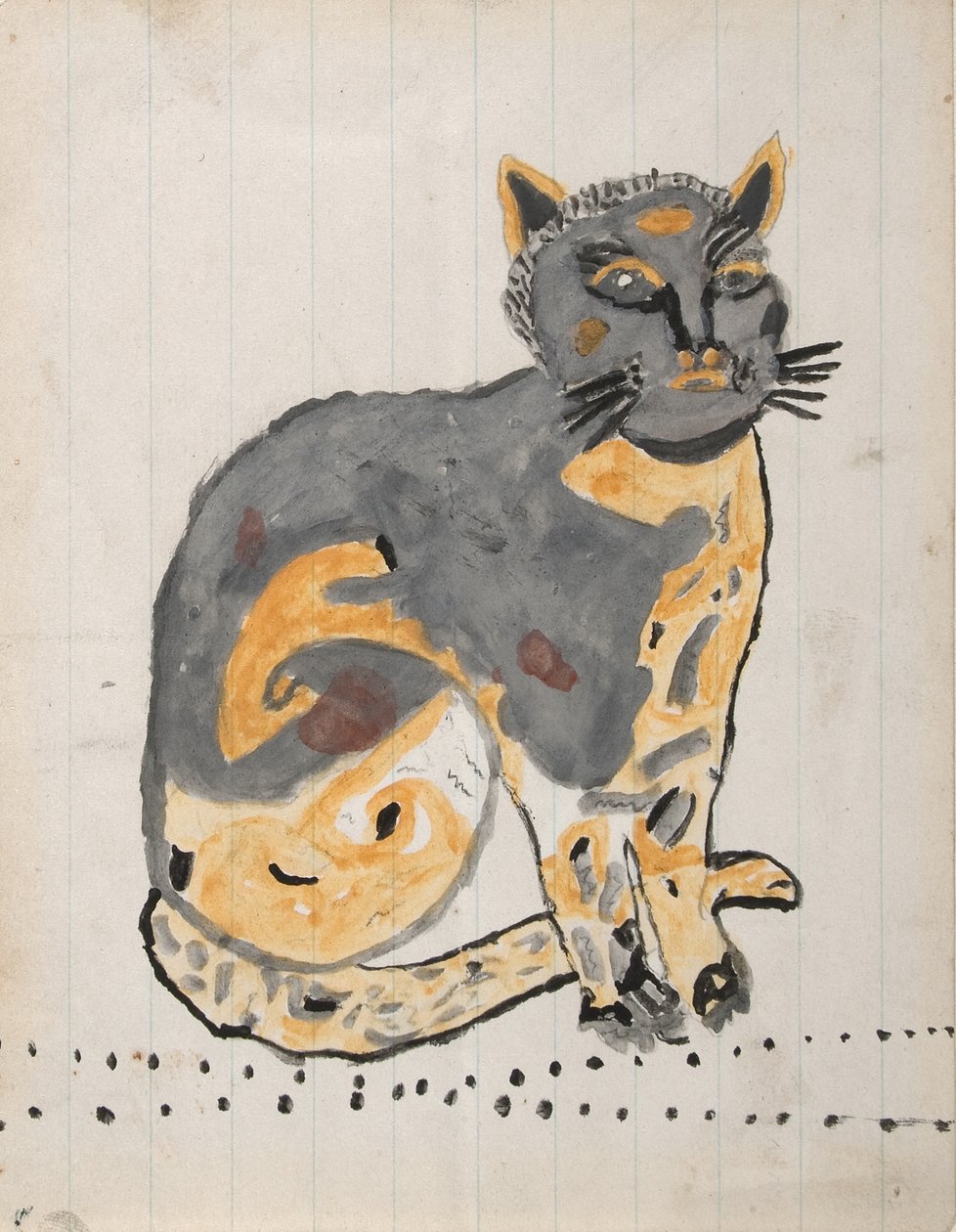 Kissa tekijältä Unknown artist
