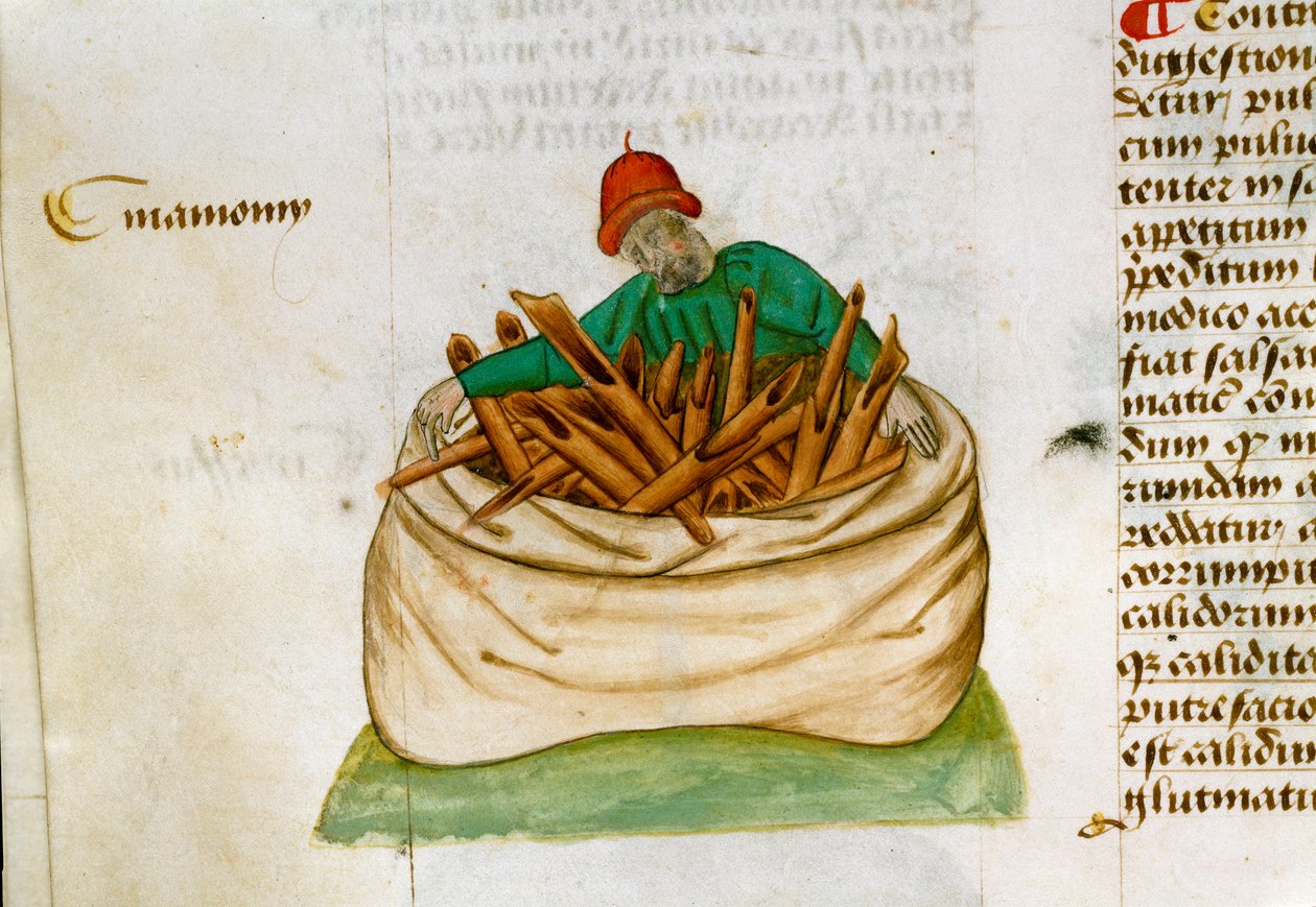 Kaneli Myyjä Kuvaus lääkekasveista ja niiden valmistustavasta. Käsikirjoitussivu "" Herkkuja yrtteillä"" (Tractatus de herbis), kirjoittanut Pedanius Dioscorides (Dioscorides) (40-90 jKr.) Lat.1152 tekijältä Unknown artist