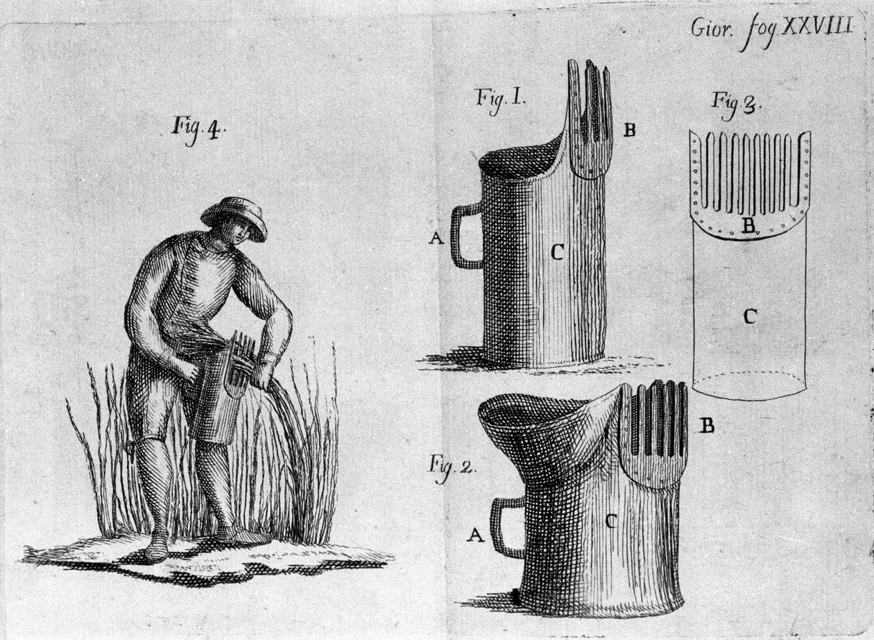 Kampaa kaura. 1800 tekijältä Unknown artist