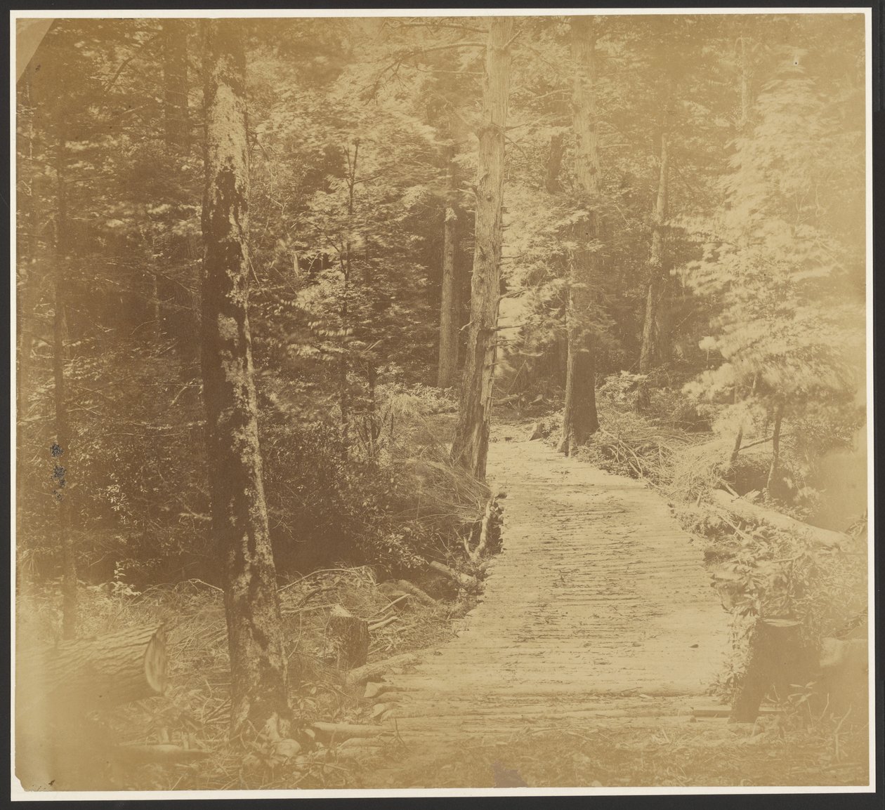 [Corduroy Road matkalla Harper
