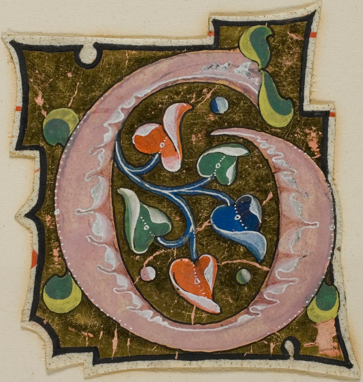 Koristeltu alkukirjain "G" vaaleanpunaisella värillä, jossa on kihartuvia lehtiä käsikirjoituksesta. tekijältä Unknown artist