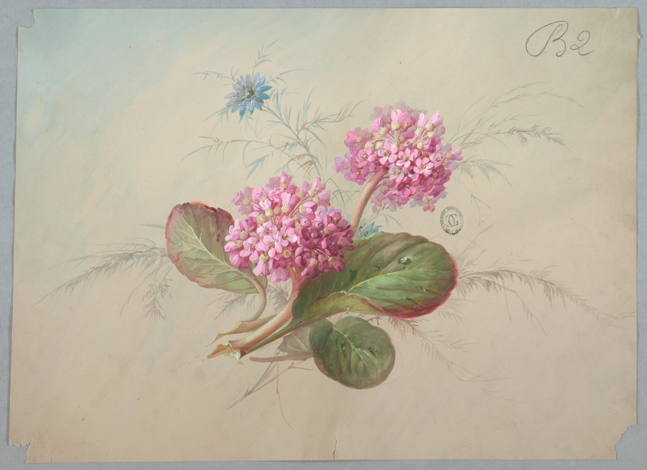 Suunnittelu tapeteille ja tekstiileille: Kukat tekijältä Unknown artist