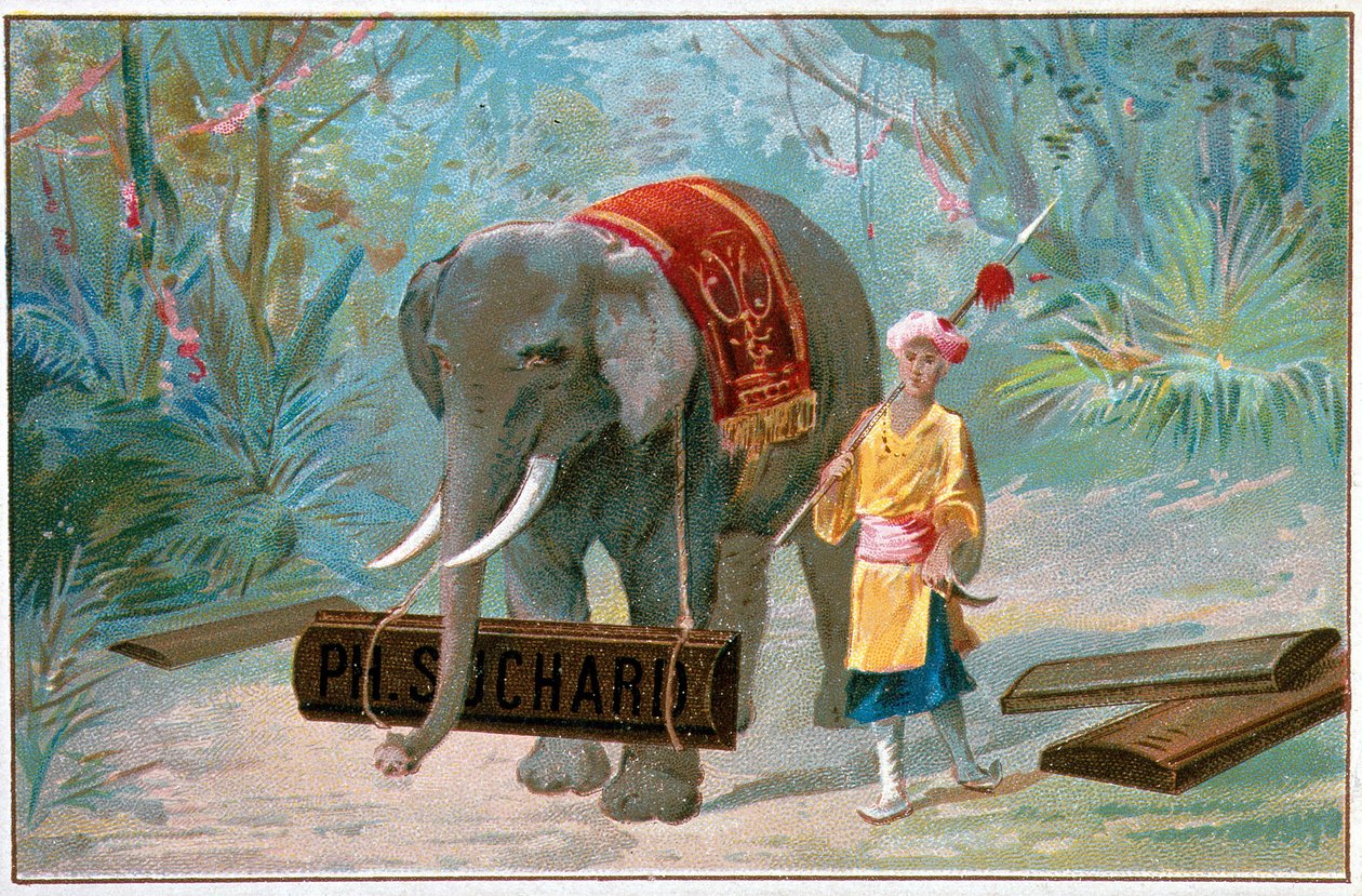 Elephant and Cornac, mainos "" Suchard"", v. 1895 tekijältä Unknown artist