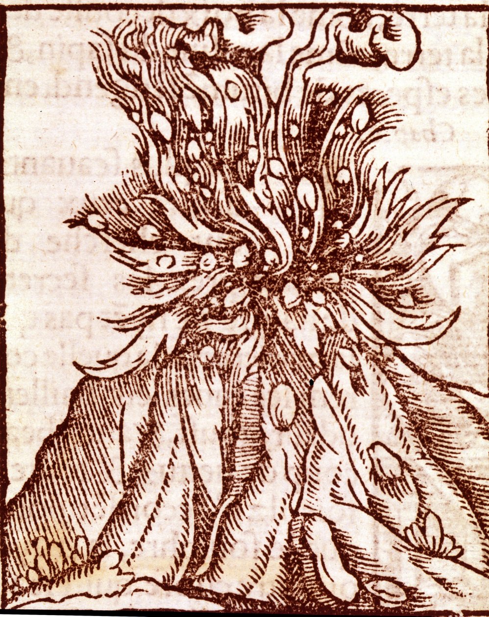 Tulivuoren purkaus. 1500-luvun kaiverrus. tekijältä Unknown artist