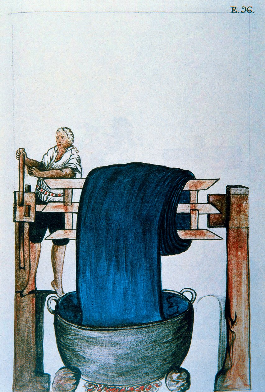 Kangasväri, kirjasta "Trujillo of Peru" tai "Codex Martinez Companion", kirjoittaneet Balthazar Martinez Companion ja Bujanda, Trujillon piispa (1782-1785) tekijältä Unknown artist