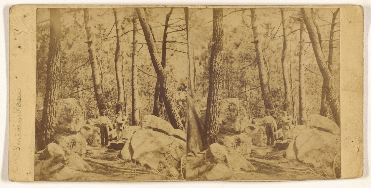 [Fontainebleau] tekijältä Unknown artist
