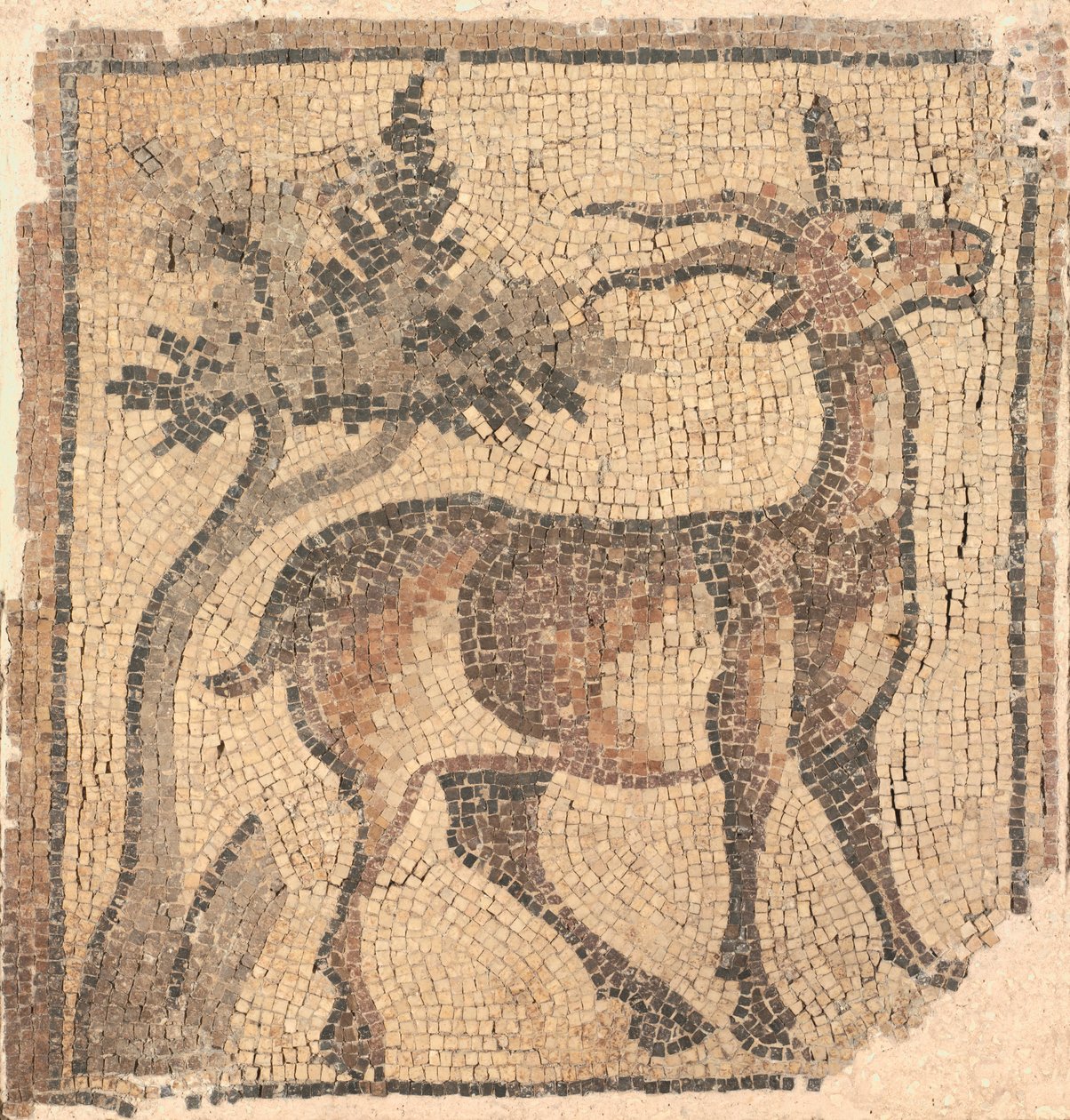 Fragmentti lattiamosaiikkista: Ibex lähellä puuta tekijältä Unknown artist
